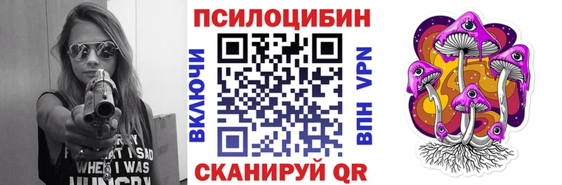 как найти закладки  Костерёво  Псилоцибиновые грибы MAGIC MUSHROOMS 