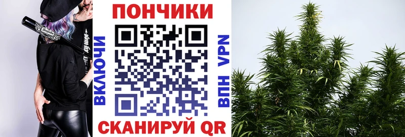 купить  сайты  Костерёво  Бошки Шишки семена 